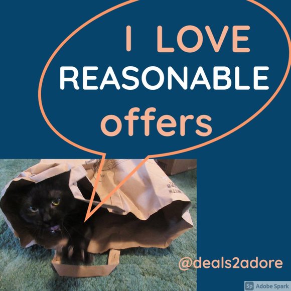 Other - Sale ended no offers on final price items